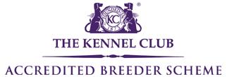 Kennel Club Accredited Breeder Scheme