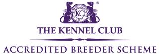 Kennel Club Accredited Breeder Scheme