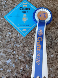 Crufts 2020 Rosette