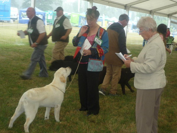 Minty Leeds Champ Show